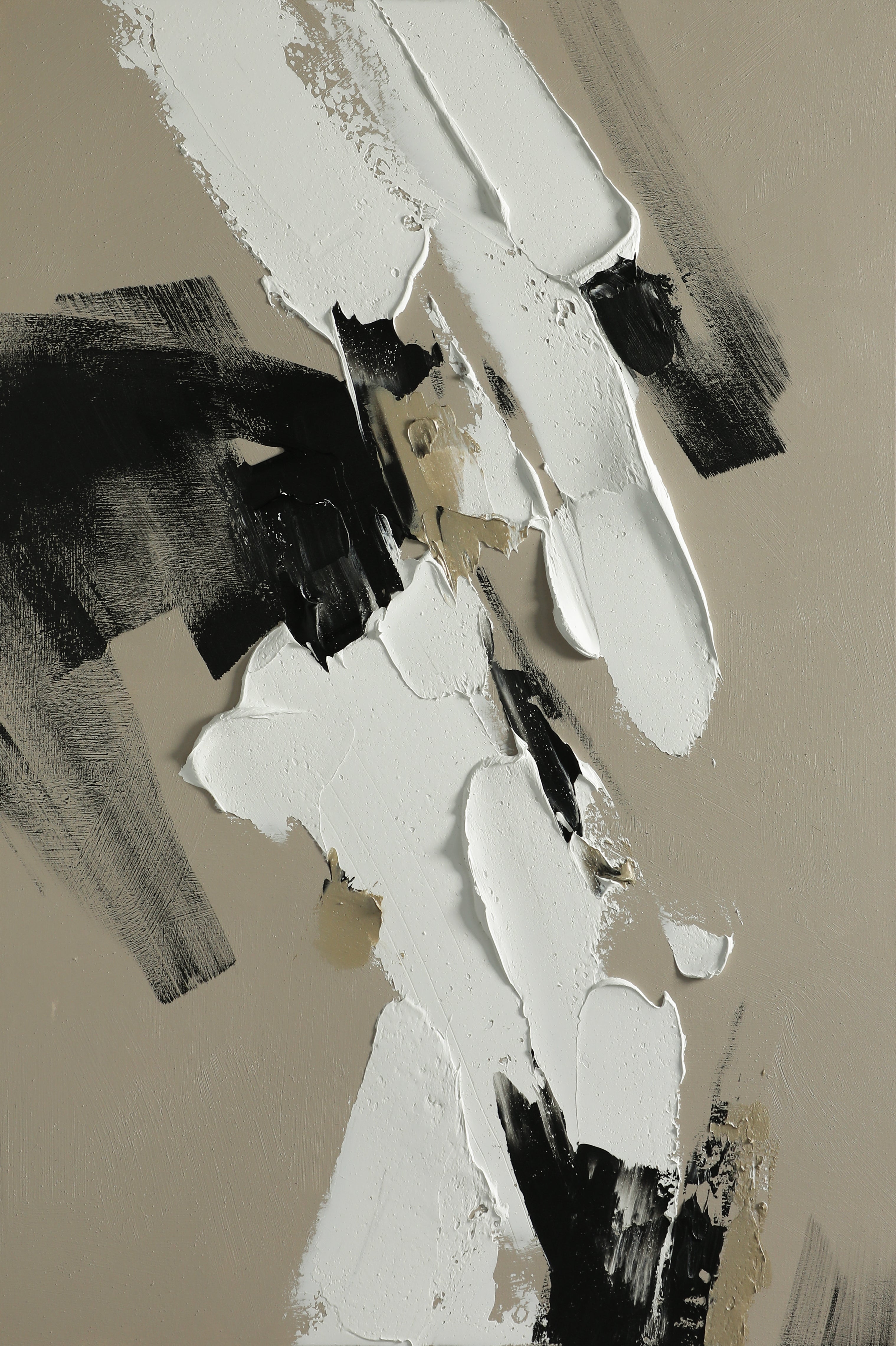 Monochrome Abstract Symphony A